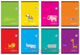 Zeszyt 16 Kartek 3 Linie Kolor Bb Kids Interdruk